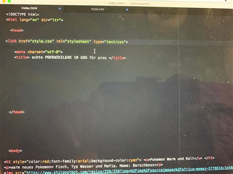 Afbeeldingsresultaten voor TYPO3 HTML Code Einbinden
