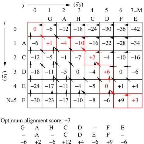 Image result for Dynamic Programming in Bioinformatics