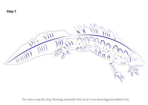 Toradh íomhá ar How to Draw a Newt