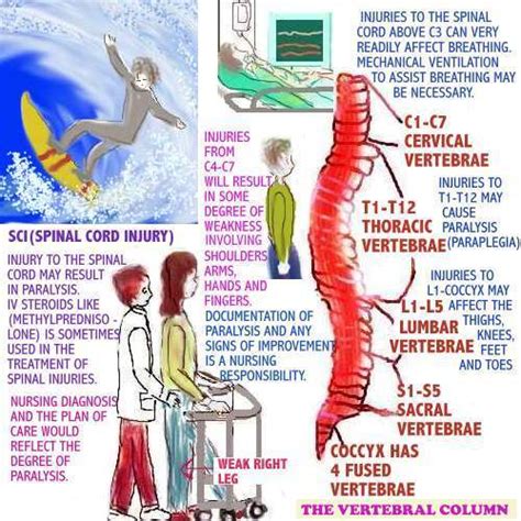 Image result for Code Blue Drugs Nurses