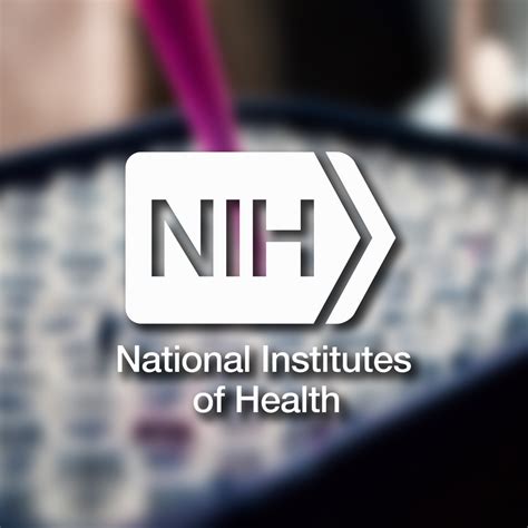 NIH Stroke Scale Example に対する画像結果