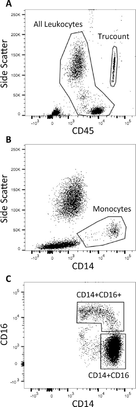 Image result for Flow Cytometry Cell Counting