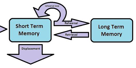Image result for Multi-Store Model of Memory