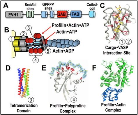 Image result for Work Function VASP