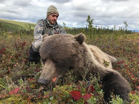 Toradh íomhá ar Winter Hunting in the Brooks Range Alaska