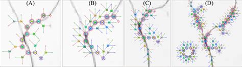Afbeeldingsresultaten voor Random Seeding Pattern