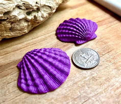 Toradh íomhá ar Purple Shells