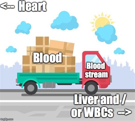Image result for Blood Loss Meme