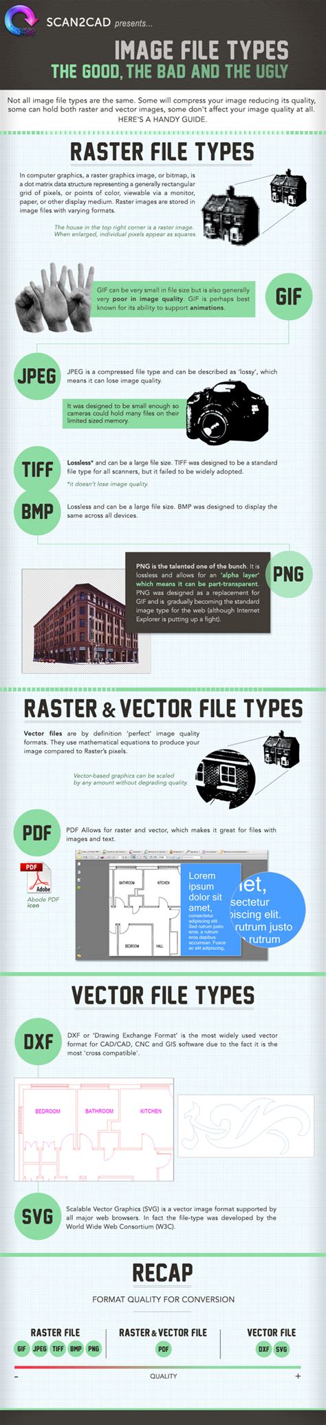 What Are Vector File Types に対する画像結果