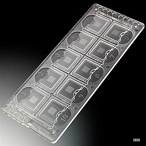 Image result for Microscope Grid Slide