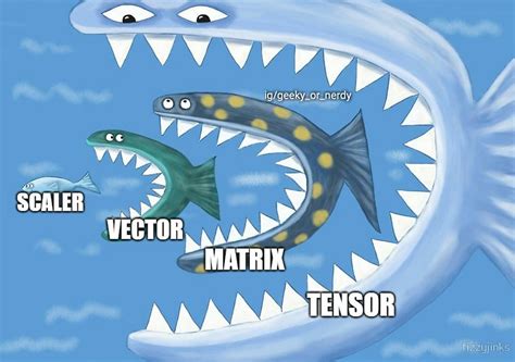 Tensor vs Matrix に対する画像結果