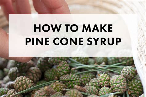 Image result for How to Make Pineapple Snow Cone Syrup