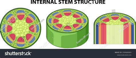 Image result for Internal Structure Example