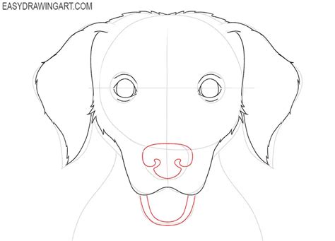 Image result for How to Draw Dog Front View