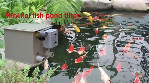 Image result for Koi Pond Water Filter
