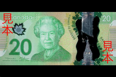 Image result for New $20.25