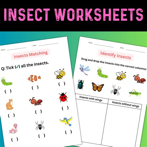 Image result for Classifying Insects Work Sheet