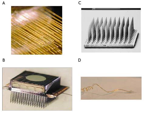 Utah Microelectrode Array に対する画像結果
