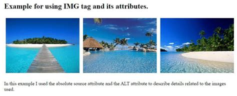 Image result for Code a HTML Document Using IMG