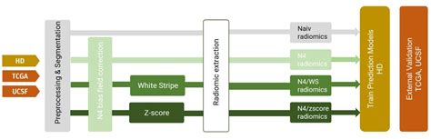 Intensity Normalization に対する画像結果