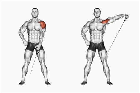 Image result for Bodybuilding Cable Exercises