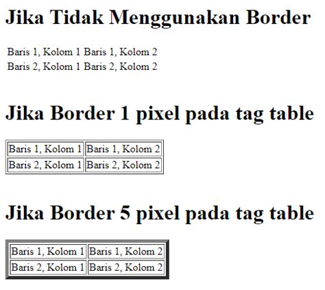 Image result for HTML Table Tag Border