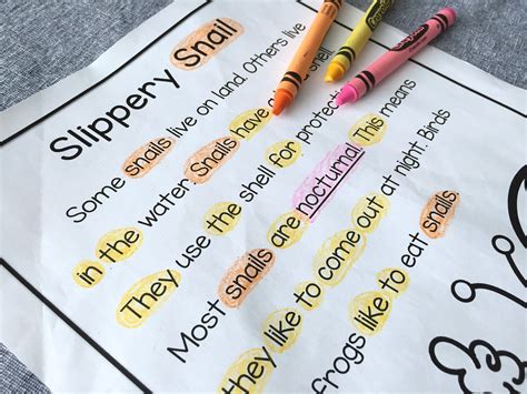 Image result for Reading Comprehension Spring