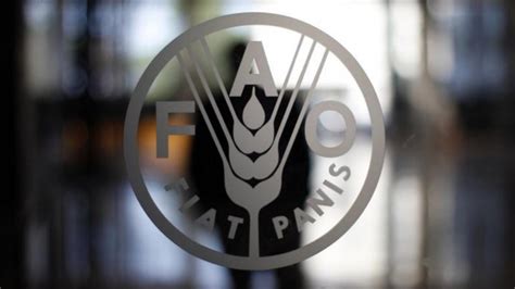 Image result for FAO