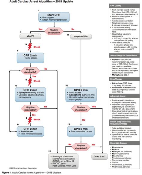 Afbeeldingsresultaten voor Post Cardiac Arrest Algorithm