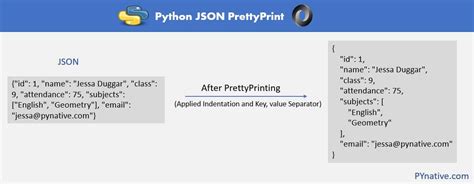 Image result for What Is Pretty Print in Python