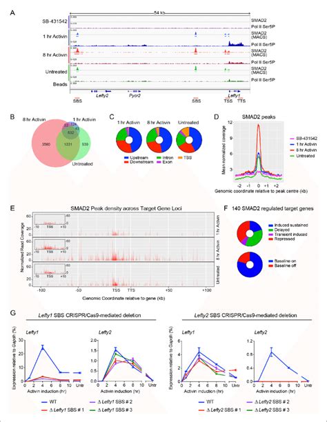 Image result for RNA Pol II ChIP-seq