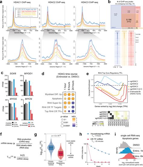 ChIP-seq HDAC1 に対する画像結果