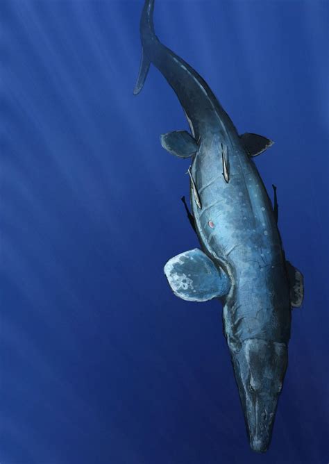 Mosasaurus Ice Age に対する画像結果