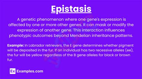 Image result for Genotype and Phenotype Interaction Diagram