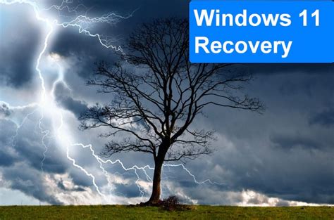 Image result for Win 11 Recovery USB