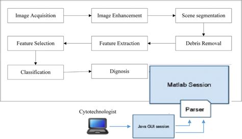 Pat Smear Tool に対する画像結果