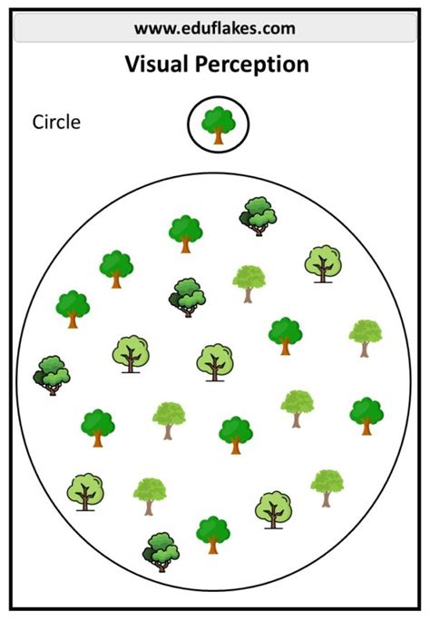 Résultat d’images pour Visual Perception Activities