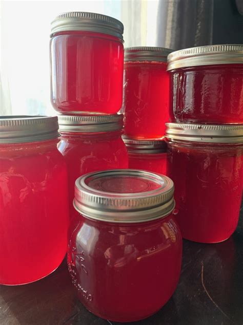 Raspberry Pi 2 ADS-B に対する画像結果