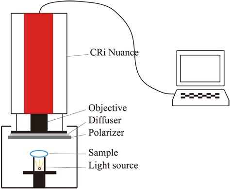 Dual Multispectral Imaging System に対する画像結果