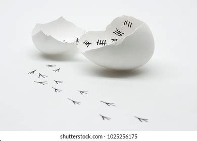 Bildergebnis für A Real Life Timeline Model