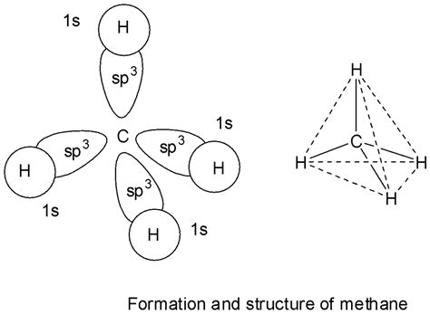 Afbeeldingsresultaten voor Hybridization of Carbon Diagram