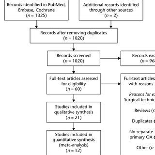 Branch of Selection Flowchart に対する画像結果