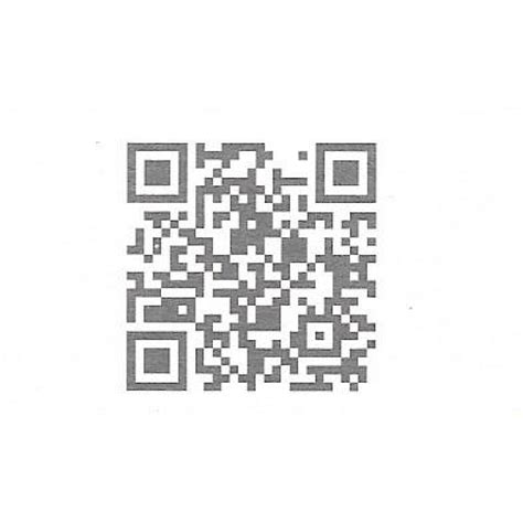 Image result for AutoLink AL319 Manual