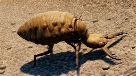 Image result for Grounded Sand Box Key