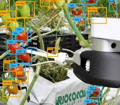 Agri Coding Practice に対する画像結果