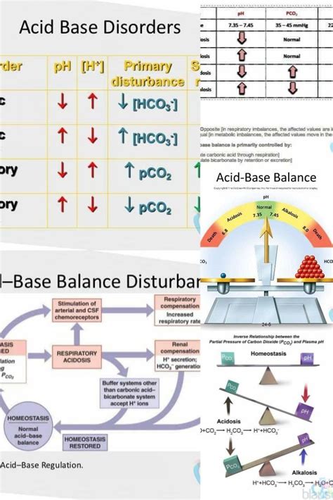 Image result for Acid-Base Balance Disorders