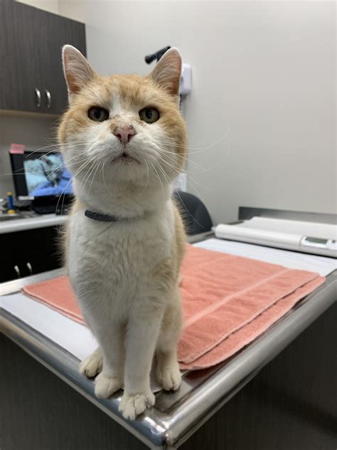 Image result for Facebook Loading Interface Image