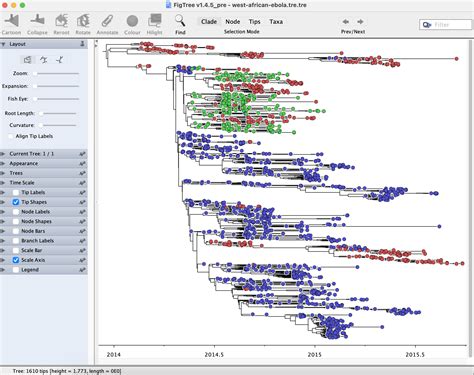 Image result for Fig Tree Software Evolution