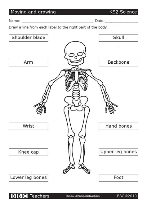 Image result for Science Worksheet