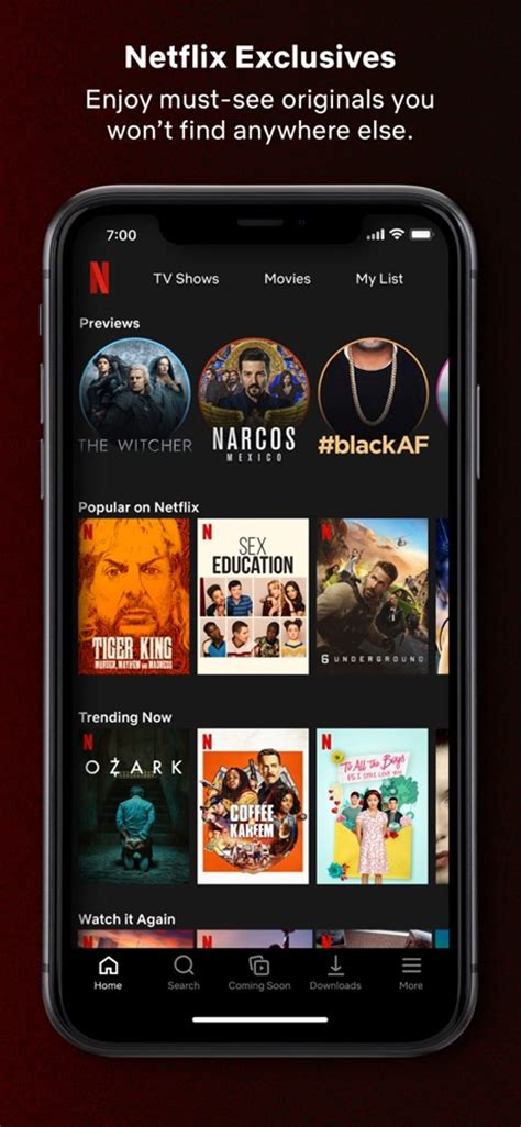 Image result for Search Netflix App